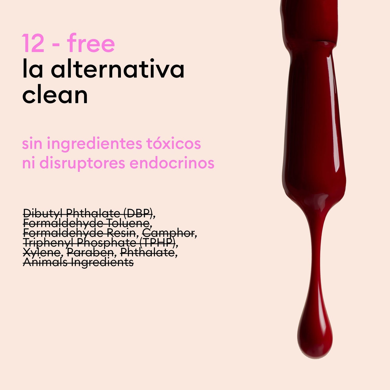 Welcome Kit Green Flash™