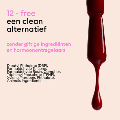 Starter Kit Coffret Cadeau