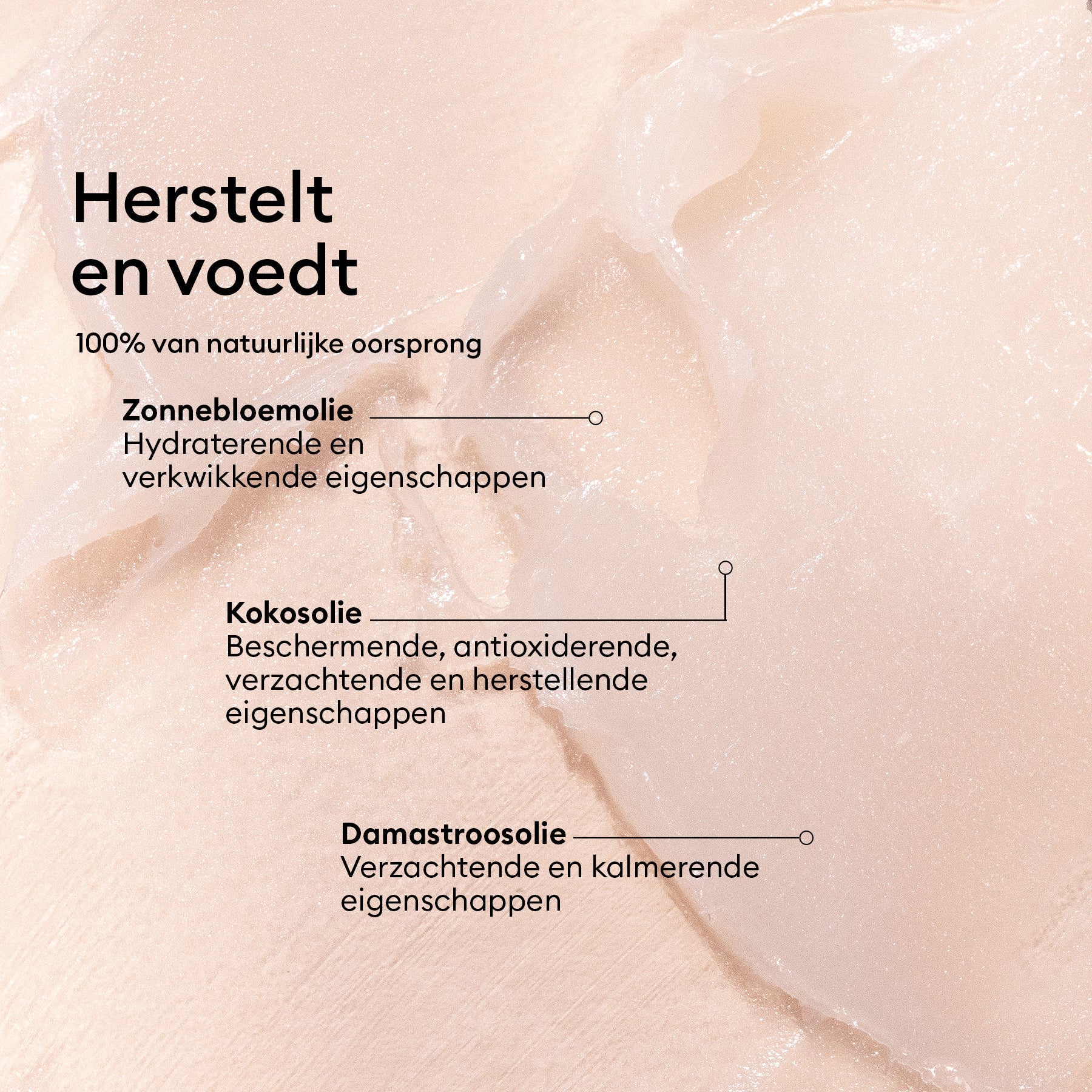 Baume Rose - Cosmos Organic