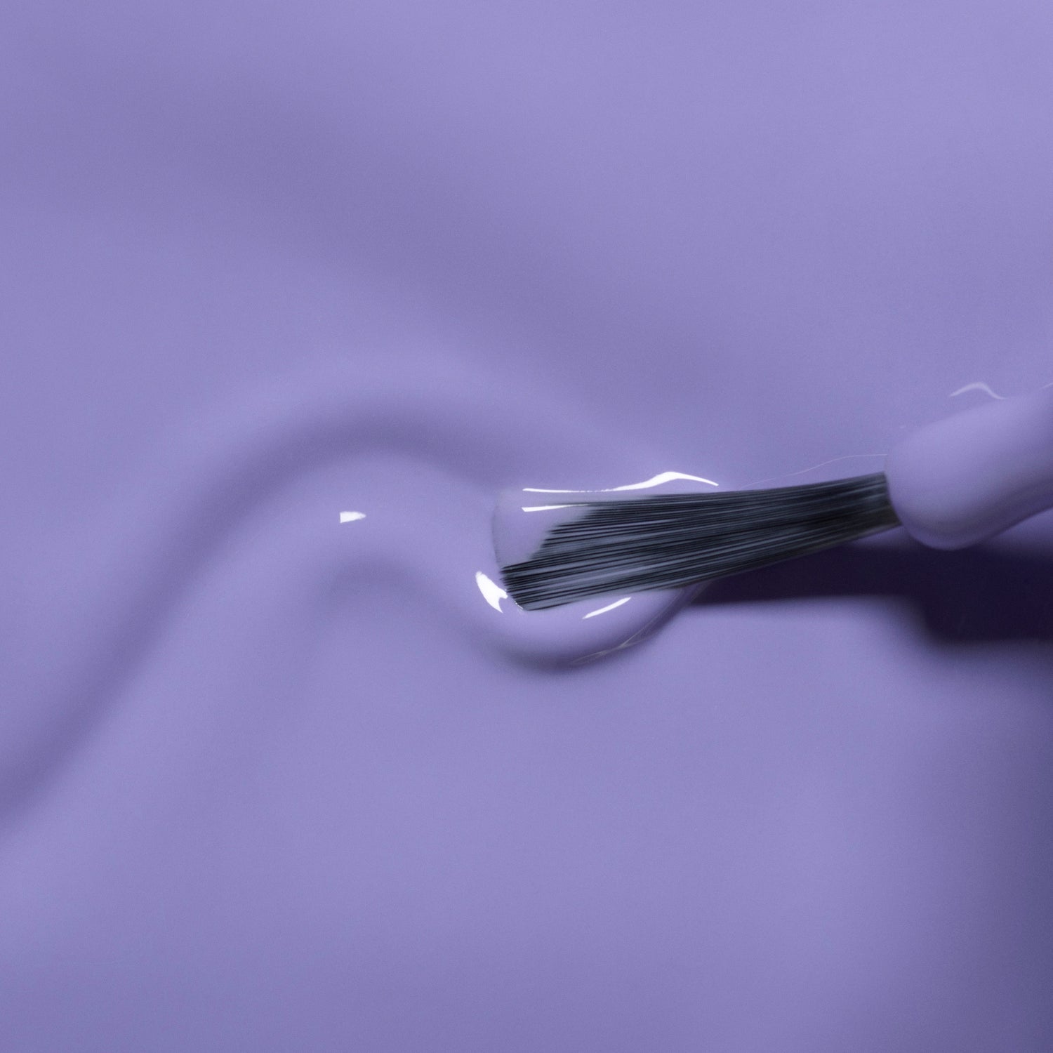 Hector le Stégosaure