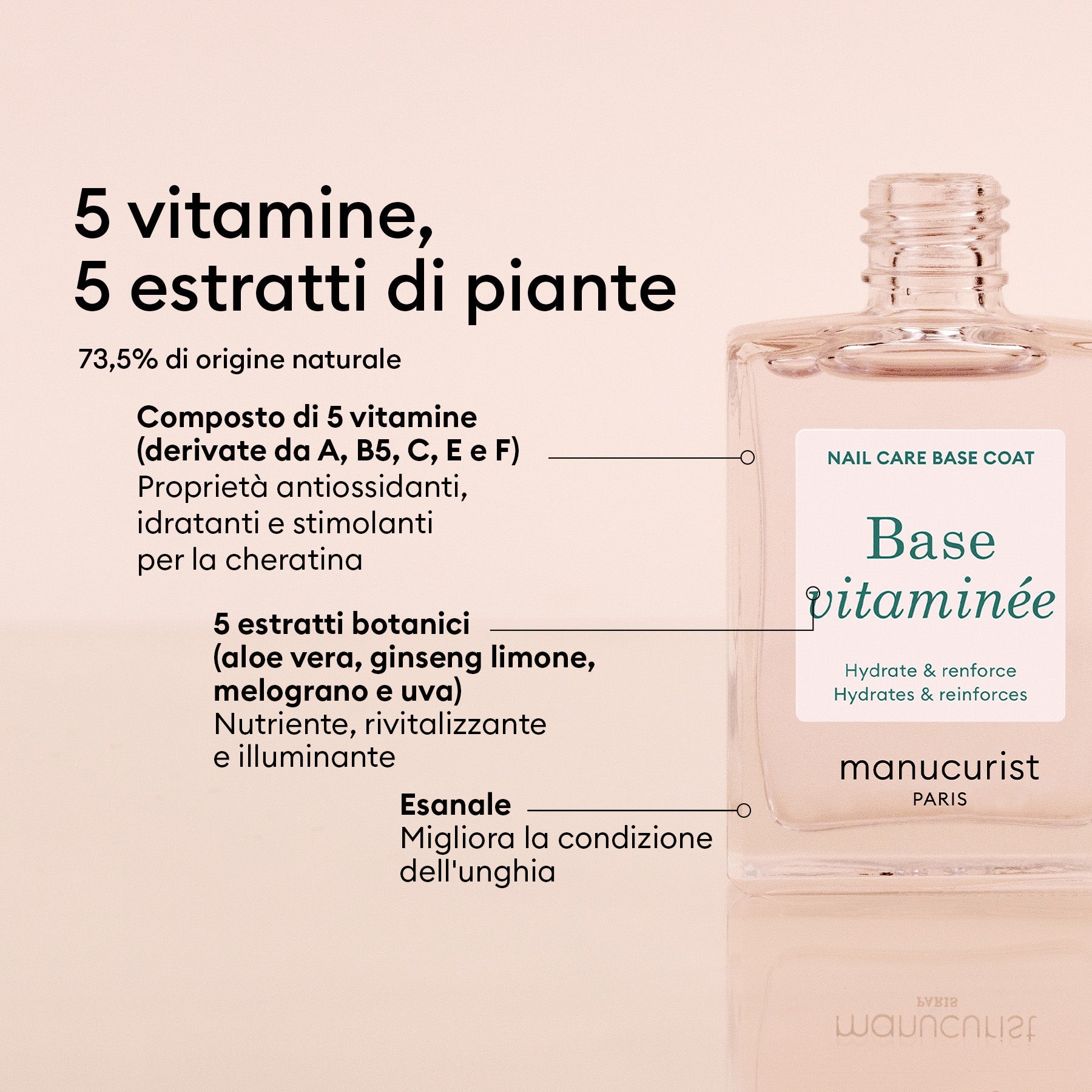 Base Vitaminée